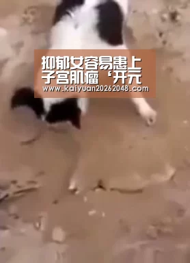 开元平台