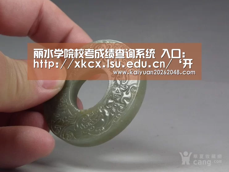 丽水学院校考成绩查询系统 入口:http://xkcx.lsu.edu.cn/‘开元娱乐’(图2) 开元娱乐