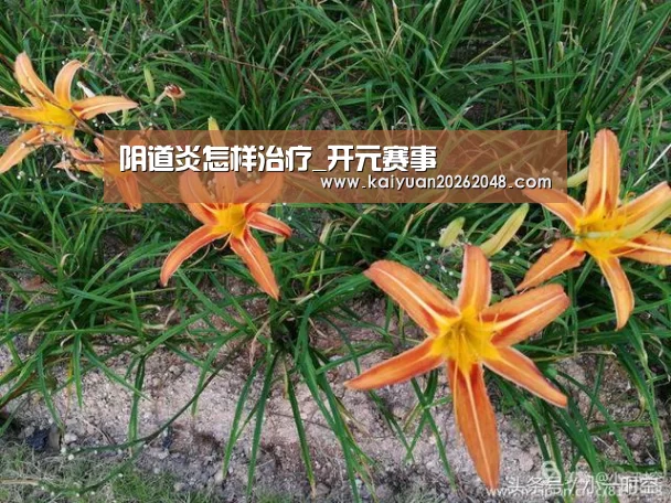 开元娱乐